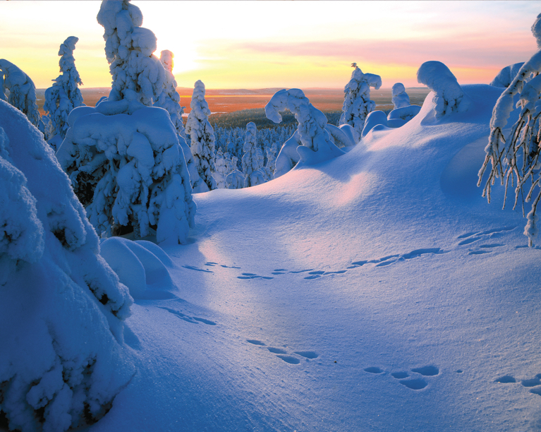 Reis naar de pracht van winters Lapland