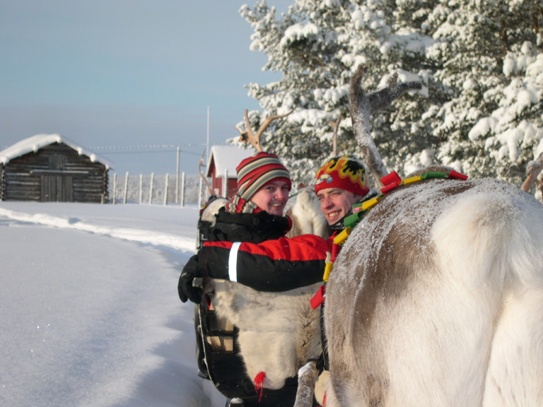 Avontuur in Lapland - Safari met rendieren